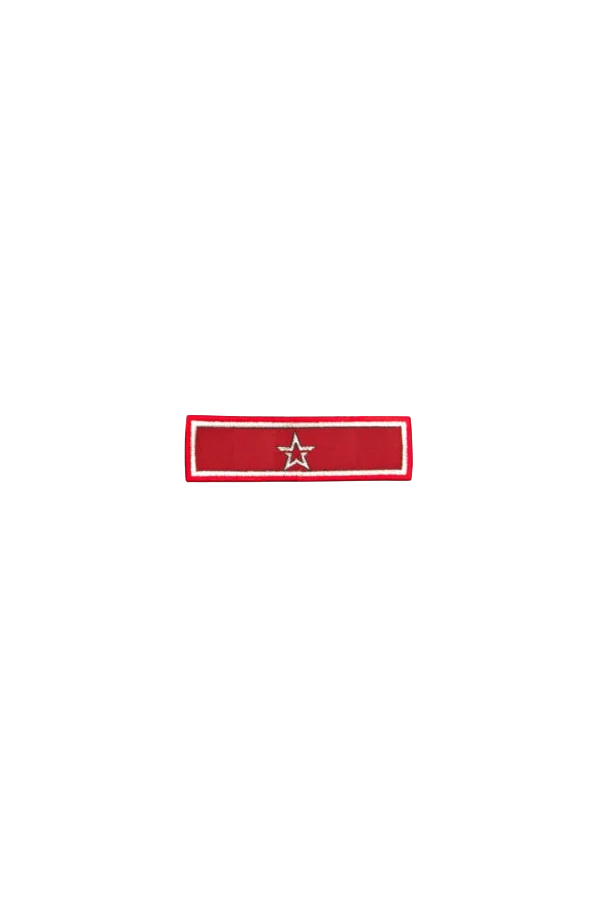 Шеврон ранговый (по годам) 1 звезда — фото 01