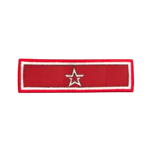 Шеврон ранговый (по годам) 1 звезда — фото 02